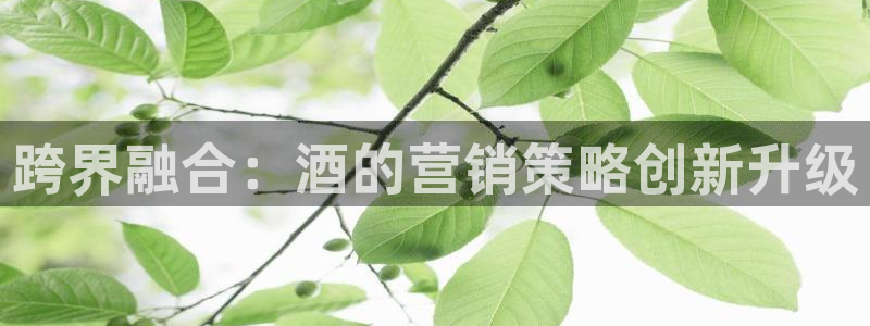 必赢手机app下载最新版安卓苹果可以用吗