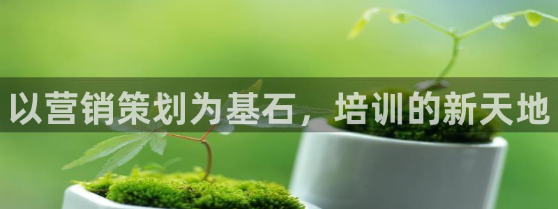 必赢官网网站入口下载