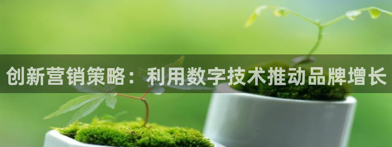 必赢国际437pay,coma